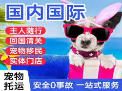 西安机场快递国际宠物托运 【国